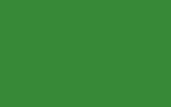 Obrázek SOKRATES Sedlácká barva 0530 - světle zelená 0,7 kg