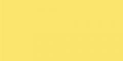 Obrázek SOKRATES Sedlácká barva 0620 - žlutá 0,7 kg